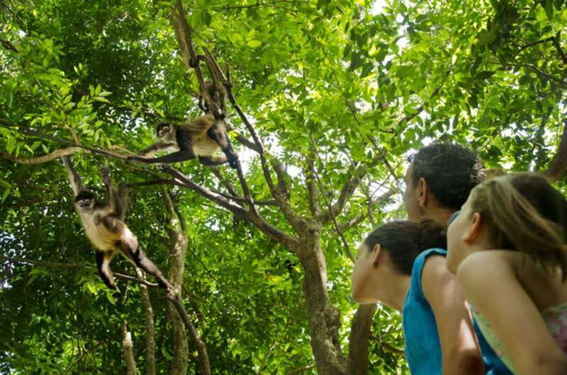 Riviera Maya: Croco Cun Interactive Zoo Tour - Key points to know before you go