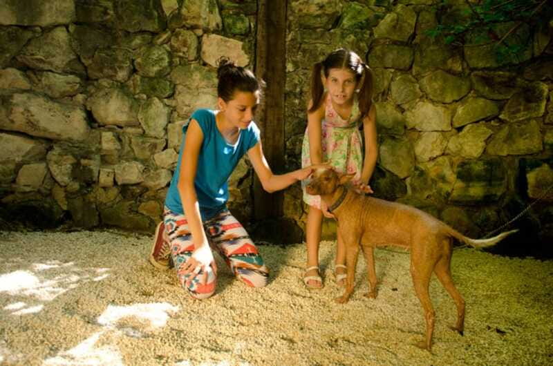 Riviera Maya: Croco Cun Interactive Zoo Tour - The guides can shape the whole visit