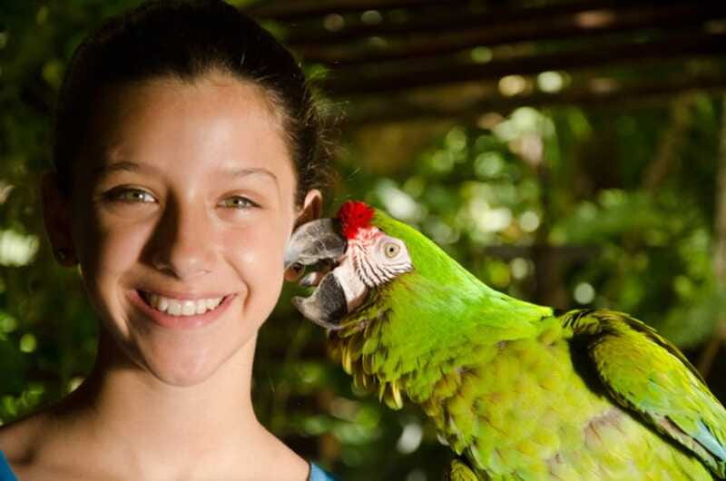 Riviera Maya: Croco Cun Interactive Zoo Tour - Timing, comfort, and what to bring