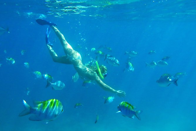 Riviera Maya Luxury Snorkeling Cruise with Lunch and Drinks - Transport details that can shape your day