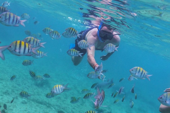 Riviera Maya Luxury Snorkeling Cruise with Lunch and Drinks - Safety, comfort, and who should skip it