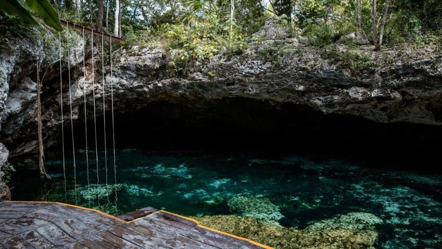 Riviera Maya: Tulum Ruins and 2 Cenotes Half-Day Tour - What the $42 price really covers