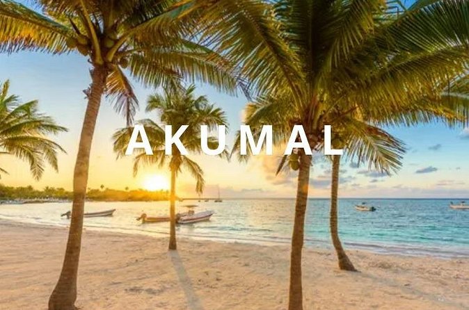 Round private transfer Airport- Akumal - Airport. - Families, luggage, and baby-seat requests