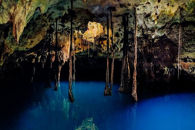 Sacred Adventure at Xenotes! 4 Different Cenotes + Round Transportation - What the 10-hour day feels like