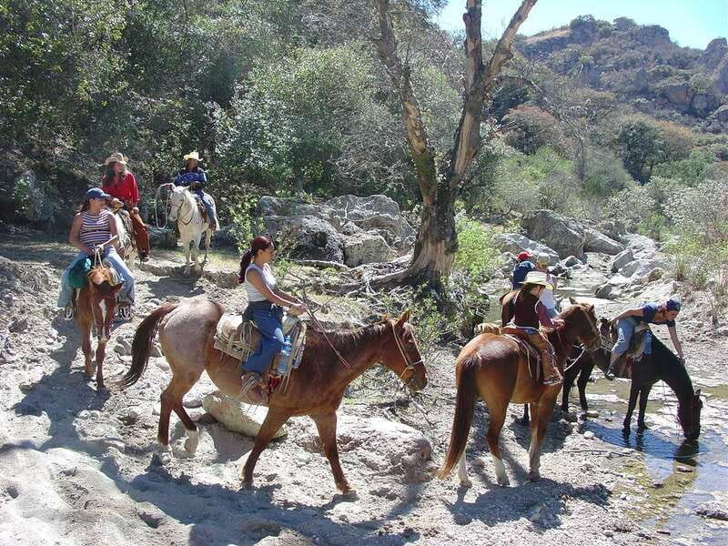 San Miguel Allende: Half-Day Horseback Riding Adventure - Should you book it?