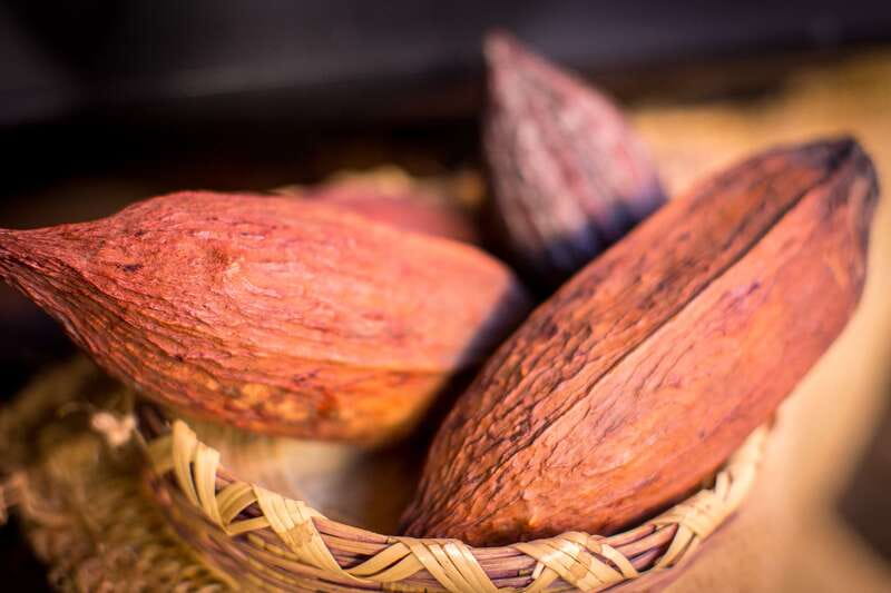 San Miguel de Allende: Chocolate Tasting and Walking Tour - Key points at a glance