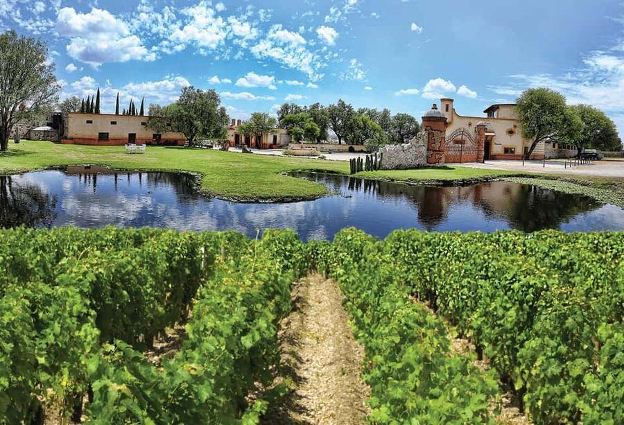 Santiago de Querétaro: Pueblos Mágicos Cheese and Wine Route - Start with 14 cheeses and two glasses of wine