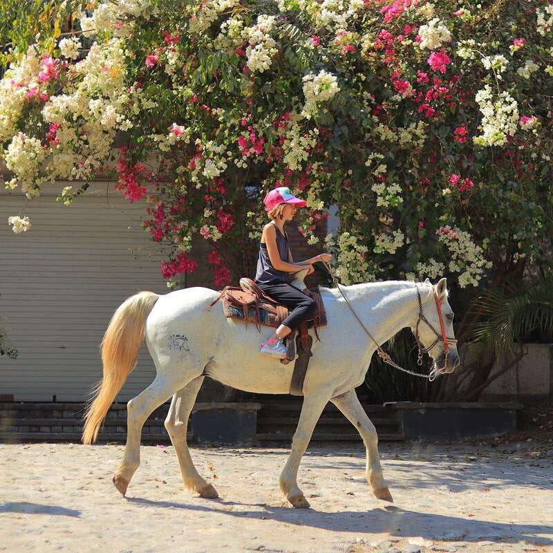 Sayulita: Horseback Riding Tour - Through the jungle trails