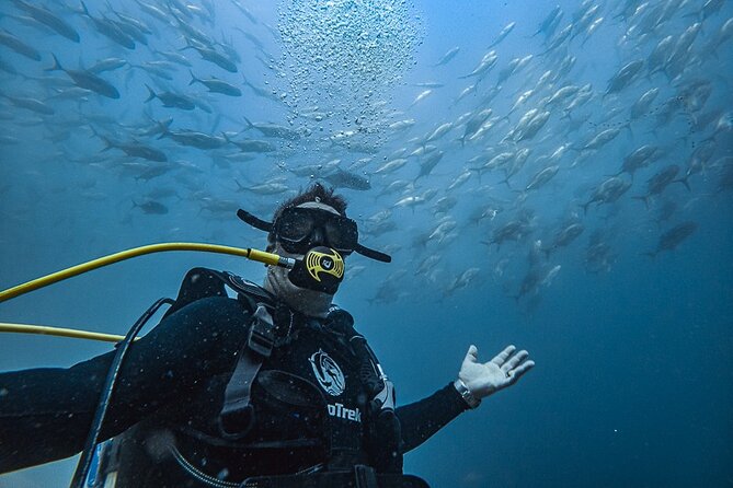 Scuba Diving - Key points to know before you book