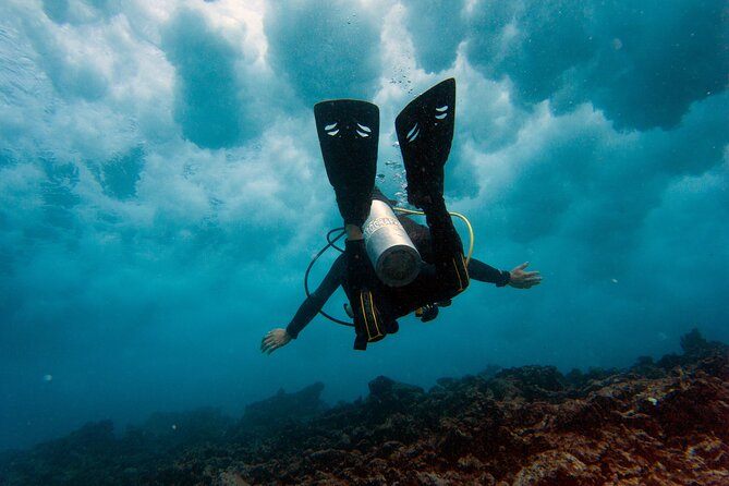 Scuba Diving (1st time) in Cancun Beginner's WELCOMED! - Why MUSA makes this beginner session different
