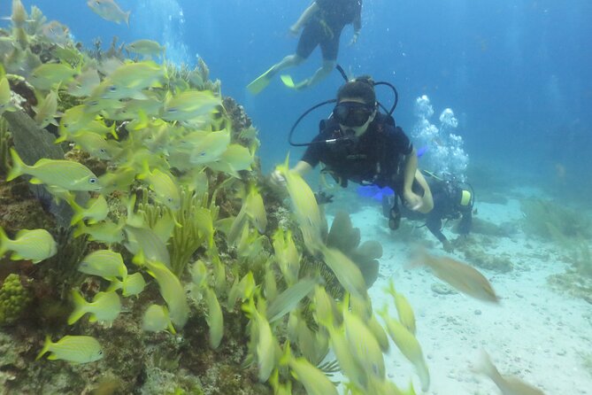 Scuba Diving (1st time) in Cancun Beginner's WELCOMED! - What the $100 in possible extra costs means
