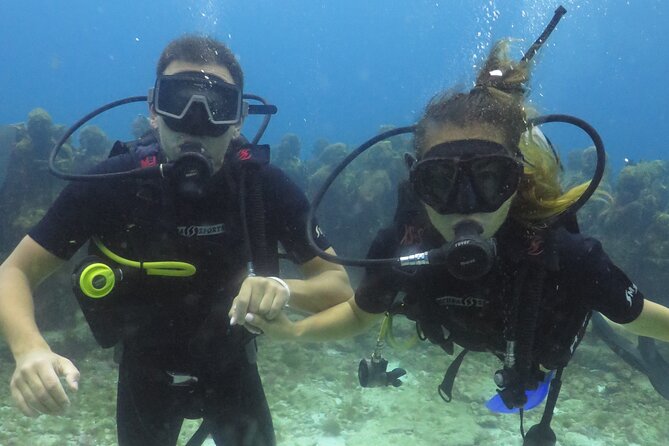 Scuba Diving (1st time) in Cancun Beginner's WELCOMED! - Timing, meeting point, and the shape of the day