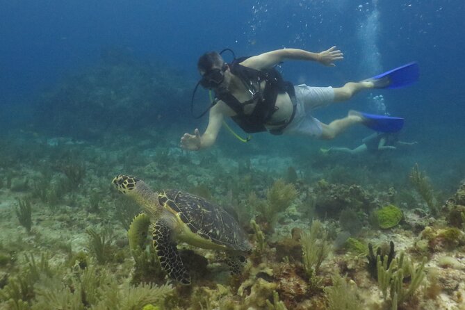 Scuba Diving (1st time) in Cancun Beginner's WELCOMED! - Staying calm underwater