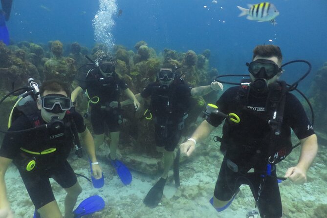 Scuba Diving (1st time) in Cancun Beginner's WELCOMED! - Who will get the most from this experience