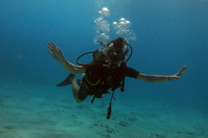 Scuba Diving (1st time) in Cancun Beginner's WELCOMED! - MUSA and the reef: what the two sessions offer