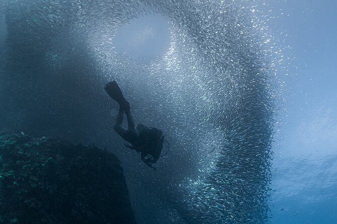 Scuba Diving - The real cost of the $149 price