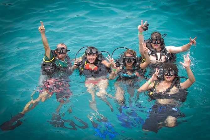 Scuba Diving - Boat size, comfort, and timing