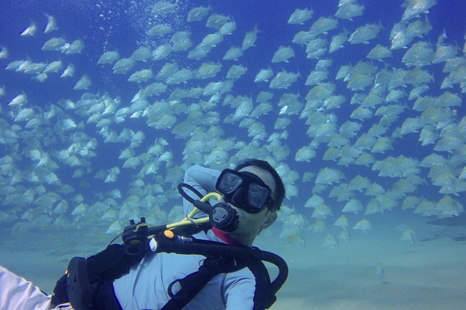 Scuba Diving - Weather, cancellations, and planning around Cabo