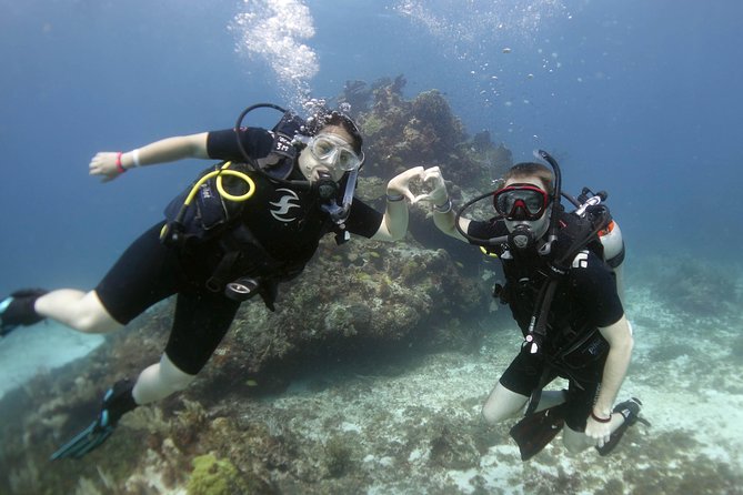 Scuba diving at MUSA the underwater museum for certified divers - The staff can shape the whole experience