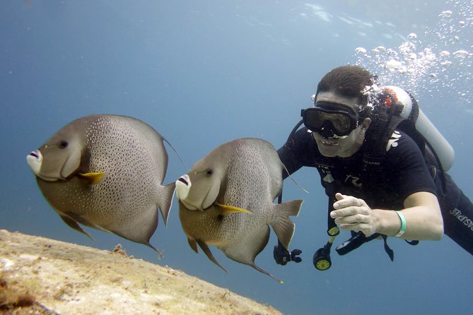 Scuba diving at MUSA the underwater museum for certified divers - Equipment, boat time, and comfort between sessions