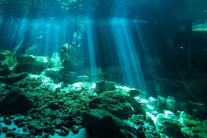 Scuba Diving in Cenote Dos Ojos from Playa del Carmen - Why Dos Ojos feels unlike a normal scuba outing
