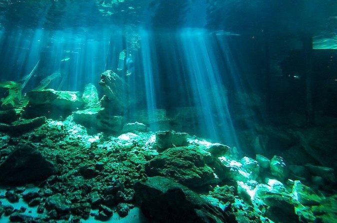 Scuba Diving in Cenote Dos Ojos from Playa del Carmen - Lunch, snacks, and the value of the package