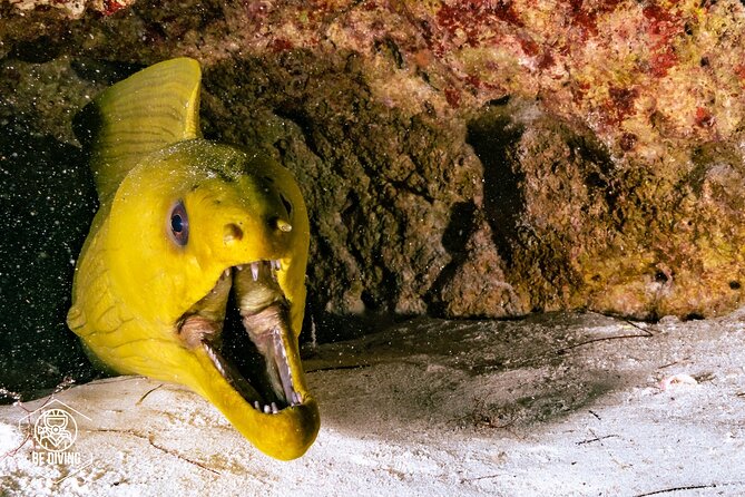 Scuba Diving in Cozumel Island - The surface interval: snacks, water, and a proper pause