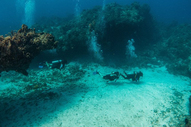 Scuba Diving in Cozumel Island - Who will get the most from this Cozumel outing