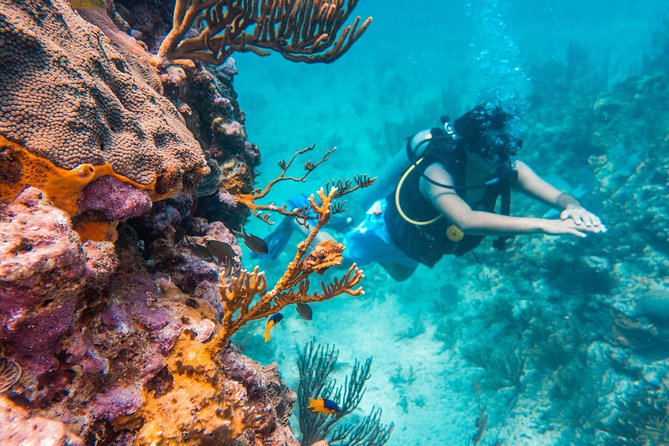 Scuba Diving in Cozumel Island - The 45-minute ride to the reef