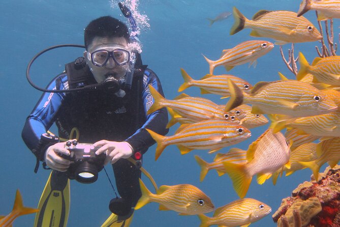 Scuba Diving Under Water Museum and Reef for beginners - Timing, meeting point, and the unglamorous details