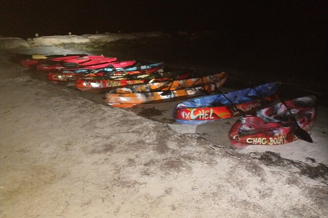 Shared Bioluminescence kayak tour in Holbox - The stars may be the evening’s best surprise