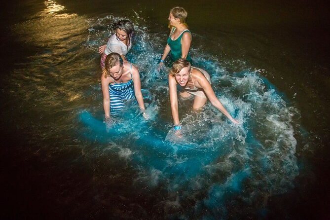 Shared Bioluminescence kayak tour in Holbox - Price, group size, and what you receive
