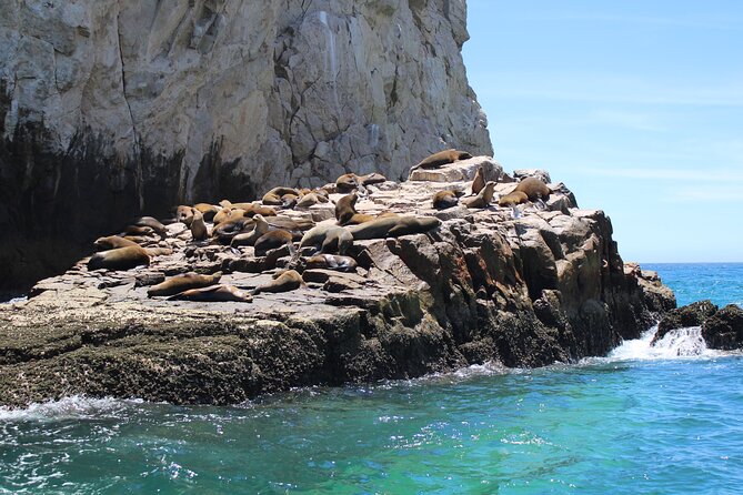 Shared Tour to the Arch of Cabo San Lucas - Lover’s Beach and the chance to swim