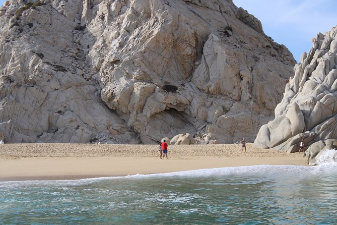 Shared Tour to the Arch of Cabo San Lucas - Wildlife is a welcome extra