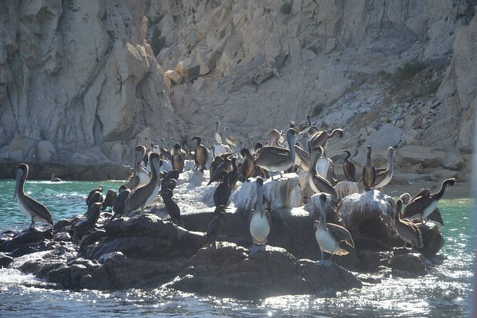 Shared Tour to the Arch of Cabo San Lucas - The crew can make or break a short tour