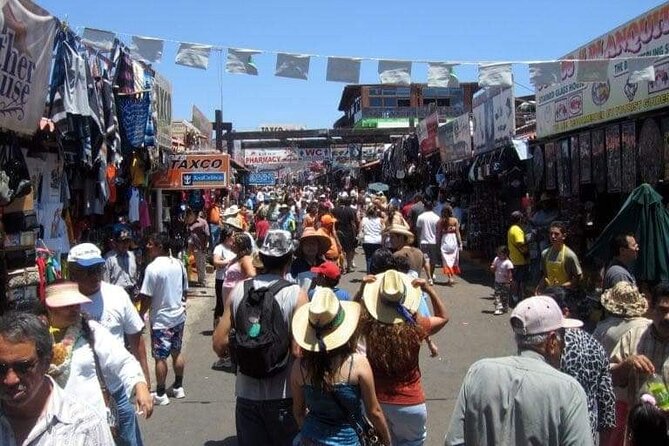 Shore Excursion: La Bufadora, Markets & Ensenada City Sights - A private ride changes the cruise-port experience