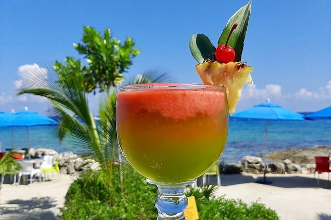 SkyReef Cozumel Snorkel & Tequila Tasting - Who will enjoy SkyReef most