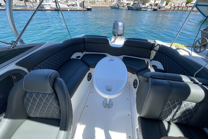 Small boat rental in cabo - Yamaha 28ft. - Wildlife and the value of a flexible captain