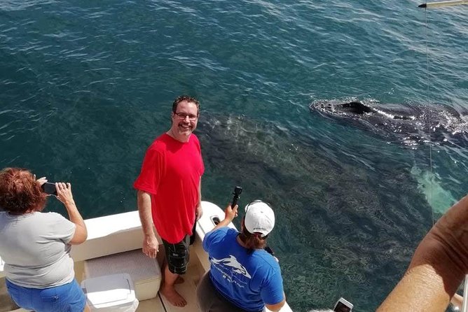 Small-Group Half-Day Whale-Watching Tour in Puerto Vallarta - Dolphins, Turtles, and Other Bay Wildlife