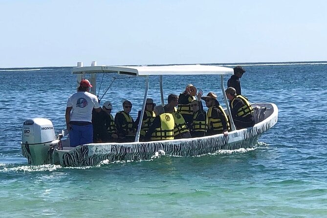 Small-Group Mesoamerican Barrier Reef Snorkeling in Puerto Morelos - A good match for families and beginners