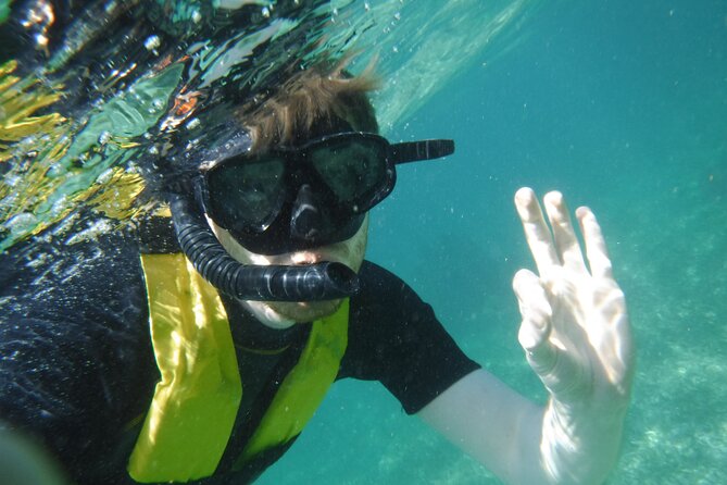 Small-Group Mesoamerican Barrier Reef Snorkeling in Puerto Morelos - The reef rules are part of the experience