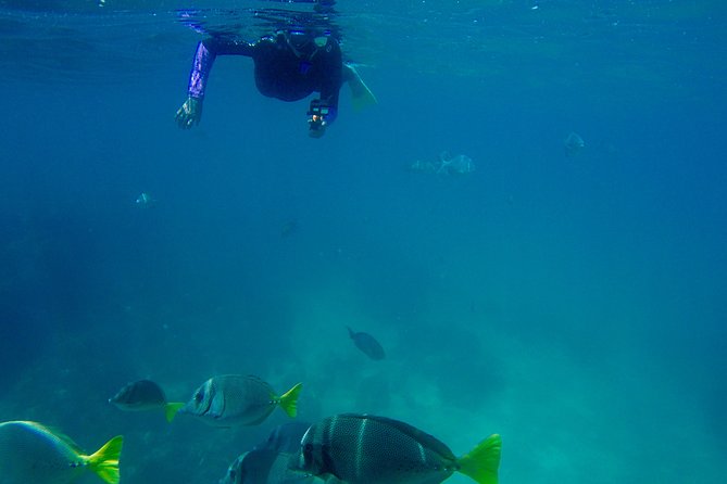 Snorkel Adventure and Hike to a Hidden Beach - Practical details before you book