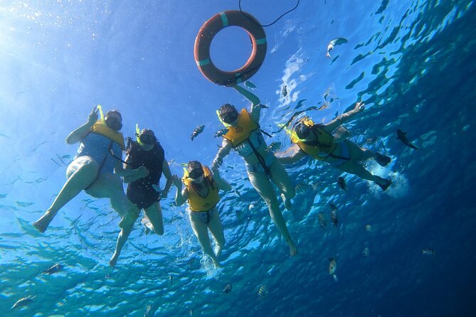 Snorkel along the coast, explore two reefs by Chivis del Mar - Two Cozumel reefs in a compact 90-minute trip