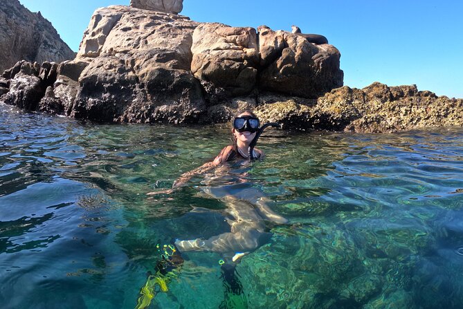 Snorkel and arch tour in los cabos - From Cabo Marina to El Arco