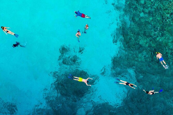 Snorkel and arch tour in los cabos - Should you book the Snorkel and Arch Tour?