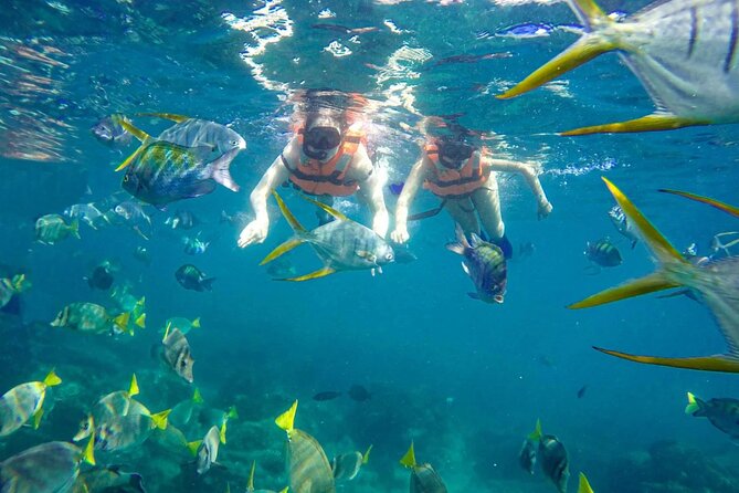 Snorkel and arch tour in los cabos - Pelican Rock and 30 to 40 minutes in the water