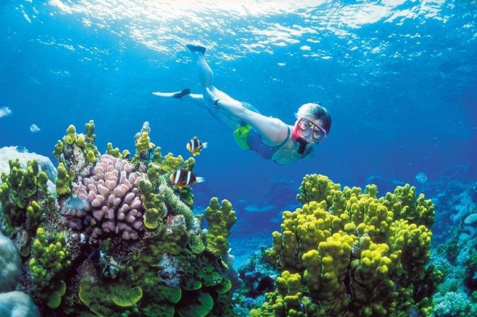 Snorkel, ATV, Zipline and Cenote Adventure from Cancun - Puerto Morelos reef and the speedboat ride