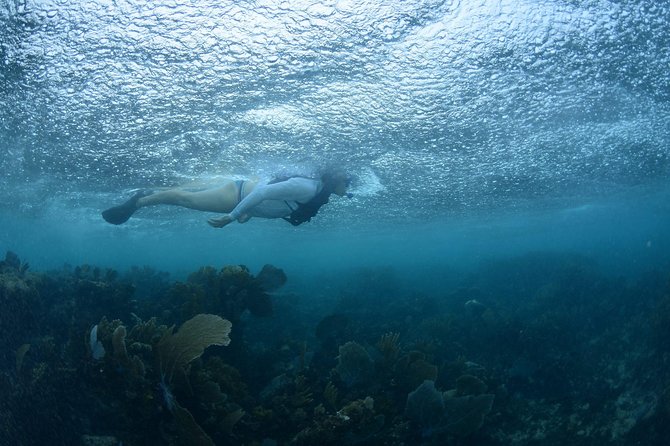 Snorkel, ATV, Zipline and Cenote Adventure from Cancun - ATV riding on a rough jungle route