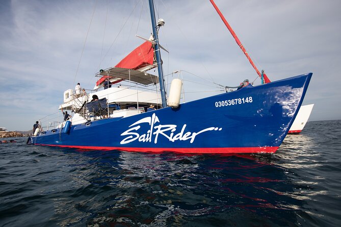 Snorkel, Lunch & Sail in Cabo San Lucas - Finding the boat at Cabo Marina