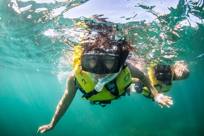 Snorkel, Lunch & Sail in Cabo San Lucas - What lunch and the open bar add to the value